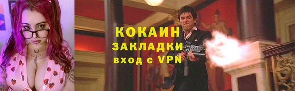 гашик Мегион