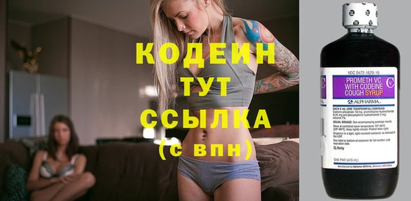 альфа пвп Медвежьегорск