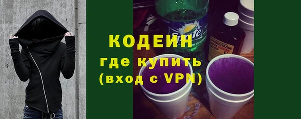 гашик Мегион