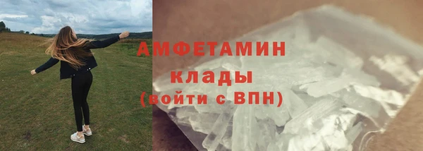 гашик Мегион