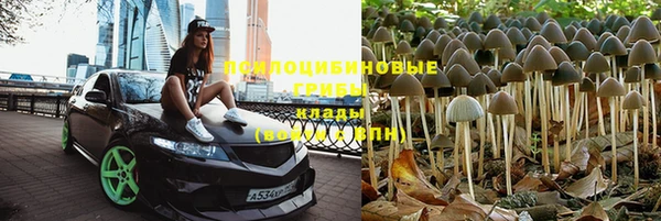 гашик Мегион