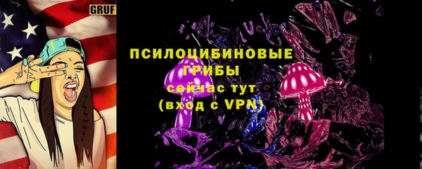 альфа пвп Медвежьегорск
